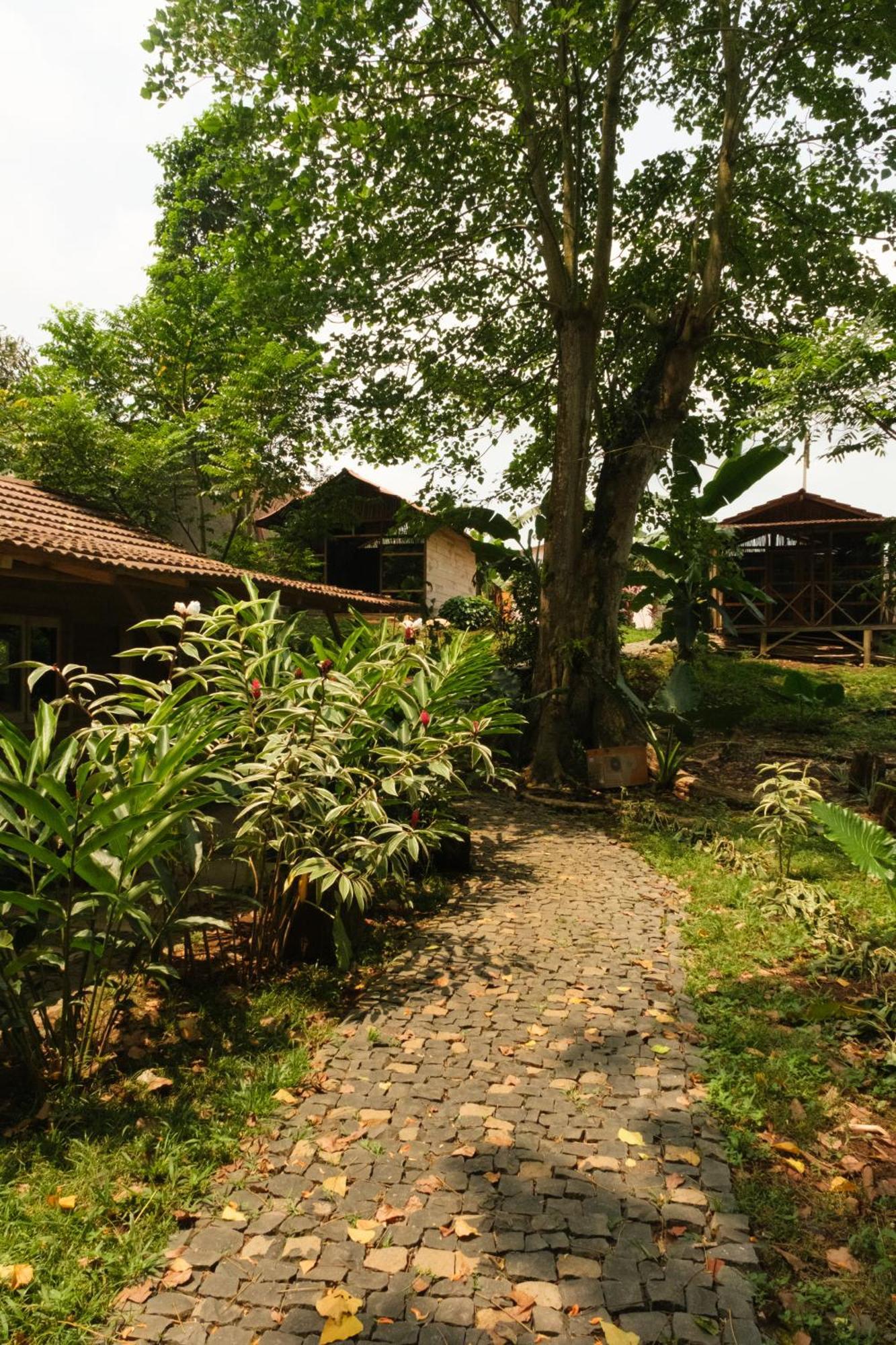Hotel Roca Maria Helena-Principe Santo António Esterno foto